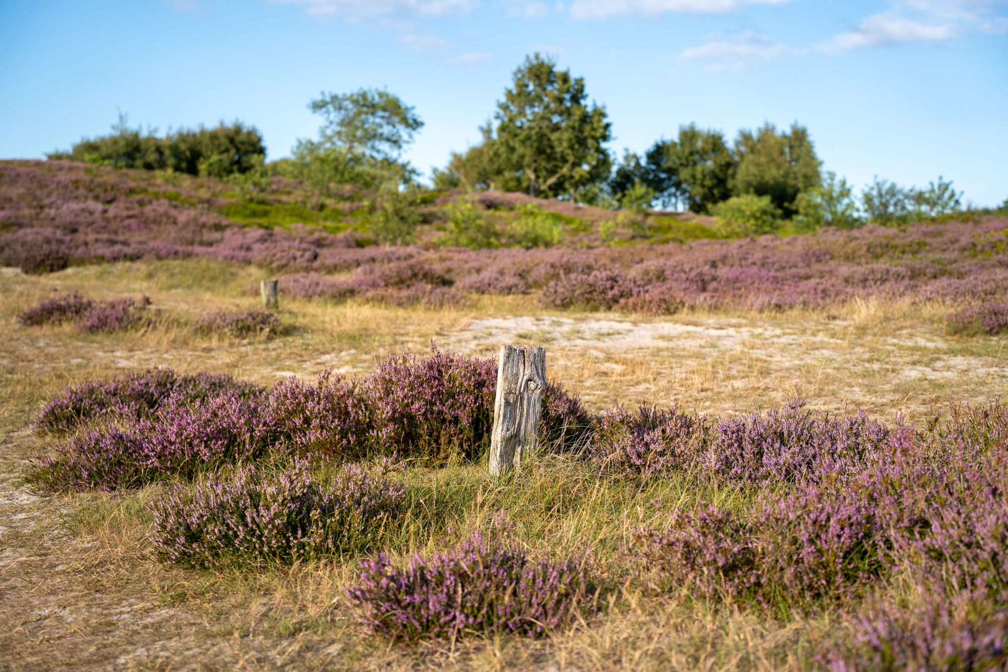 Herbsturlaub an der Nordsee: 5 Ideen im Cuxland